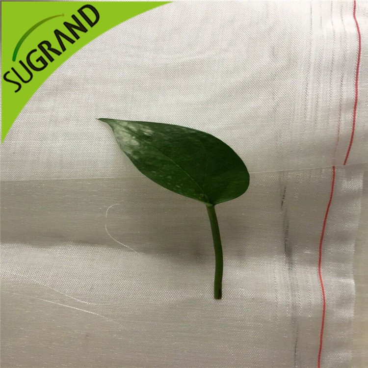 130gsm Agriculture Virgin Hdpe ανθεκτικό στα έντομα Δίχτυ