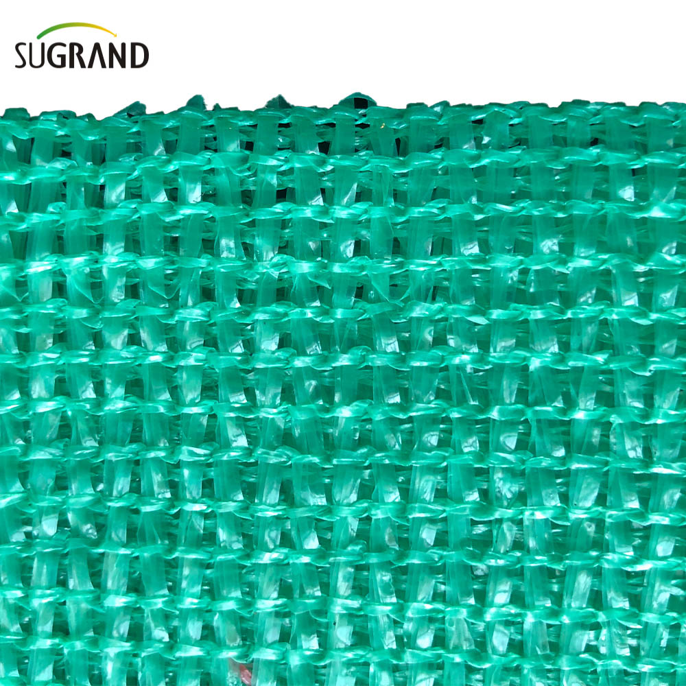 Hot έκπτωση 100% Virgin HDPE έξι βελόνων μονόταινια πράσινη σκιά δίχτυ
