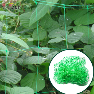 Δίχτυ στήριξης πράσινων φυτών 10GSM/δίχτυ φασολιών